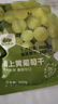 西域美农树上黄葡萄干 新疆特产大颗粒提子干蜜饯果干 250g 实拍图