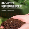 阳台种菜专用土蔬菜营养土果蔬园艺有机土壤家庭种菜土种植土 种菜土30斤【果蔬适用】 实拍图