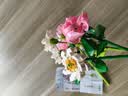 TaTanice积木花束拼装玩具儿童大颗粒手工diy永生花玫瑰花男女孩生日礼物 实拍图