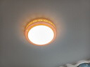 雷士（NVC）led灯盘吸顶灯替换灯芯灯板圆形磁吸模组灯管灯条24瓦白光6500K 实拍图