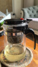 飘逸壶泡茶壶耐热高温玻璃沏茶过滤内胆冲茶器家用茶具套装 飘逸杯500mL1个 实拍图