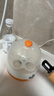 小熊（Bear）煮蛋器蒸蛋器单层家用自动断电迷你早餐神器鸡蛋羹蒸鸡蛋器蒸蛋机炖蛋器蒸蛋锅防干烧便携式电蒸锅 单层 实拍图