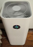 米家小米空气净化器5S【缓解花粉过敏】家用除甲醛除菌除过敏AC-M24-SC 实拍图
