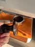 CLITON咖啡压粉锤布粉器 填压锤恒距意式咖啡机弹力压粉神器平面底58mm 实拍图