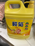 榄菊生姜洗洁精3kg 厨房洗碗洗涤灵A类食品用级别果蔬清洗剂 实拍图
