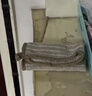 【京东物流】电加热泡脚桶可折叠泡脚足浴袋保温加厚便携式可收纳家用旅行洗脚盆 多用途毛巾1条装(颜色随机)28*28cm 实拍图