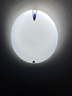 雷士（NVC）LED灯盘灯条吸顶灯灯芯替换光源改造板环形改装灯40W-正白光 实拍图
