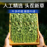 BCM烘干紫花苜蓿草 幼兔兔粮 干草兔子牧草龙猫荷兰猪磨牙饲料750g 实拍图