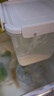 天润新疆特产润康方桶0蔗糖风味发酵乳老酸奶低温酸奶 家庭装 1kg*1桶 实拍图