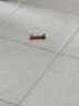 GERTHRON德国品牌狗狗磨牙棒宠物零食耐咬幼犬小型犬泰迪狗狗洁齿骨除口臭 磨牙棒+火腿肠【适口性佳】 营养美味 训犬必备 磨牙健齿 耐啃耐咬 清新口气 实拍图