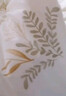 LOVO罗莱家纺 倍·蓬松A类抗菌防螨纤维冬被6.4斤220*240cm米色 实拍图