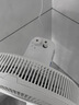 美的（Midea）电风扇 家用七叶立式落地扇宿舍卧室轻音节能摇头桌面小风扇大风力空气循环风扇 SAF30AC 实拍图