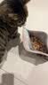 帕特 主食冻干猫粮猫零食全价生骨肉冻干幼猫成猫全期 鸡肉冻干200g 实拍图