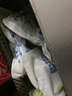 GERTHRON德国品牌狗狗磨牙棒宠物零食耐咬幼犬小型犬泰迪狗狗洁齿骨除口臭 磨牙棒+牛肉条【营养美味】 营养美味 训犬必备 磨牙健齿 耐啃耐咬 清新口气 实拍图