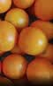 京鲜生 秭归伦晚脐橙/甜橙 钻石果 净重8斤 单果230g起 橙子水果礼盒 实拍图