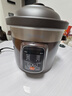 九阳（Joyoung）电炖锅电炖盅5L大容量紫砂预约电砂锅 多功能锅 智能定时精炖煮粥煲汤锅DG50Z-GD510 实拍图
