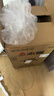 志高（CHIGO）小冰箱迷你小型家用冷藏冷冻两用宿舍出租房用双门办公室电冰箱节能省电 【店长推荐】48L银色【一级能效丨全国联保】 实拍图