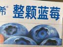 伊利【宋雨琦 白鹿同款】安慕希整颗蓝莓200g*8瓶/箱 常温酸奶 礼盒装 实拍图