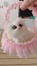 亦趣仿真猫咪玩偶会叫提篮小猫咪毛绒玩具篮子猫女孩生日六一儿童礼物 提篮粉色蕾丝白猫带叫声 实拍图