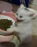 福摩（Fromm）无谷物牛肉奶酪配方猫粮 10磅（4.54kg）强健体格 晟煜防伪  实拍图