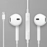 Apple/苹果 EarPods 闪电/Lightning有线耳机 苹果耳机有线耳机原装耳机 适用闪电接口的手机平板 实拍图