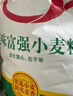 香满园 面粉 中筋粉 家用小麦粉 10斤 包子饺子馒头饼手擀面 实拍图