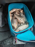 川泽轻口小碎目鲫鱼漂高灵敏纳米浮漂醒目浮标顿口防风浪抗走水鲤鱼漂 CA01-5细尾大鲫大鲤吃铅2.2克 实拍图