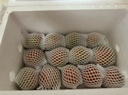 京鲜生丹东盐碱地铁皮西红柿 净重3斤 单果50g+ 新鲜水果番茄 源头直发 实拍图