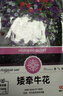 花沃里10款花种子大全 花卉种子太阳花凤仙花向日葵四季种波斯菊随季发 实拍图