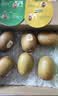 佳沛（zespri）新西兰 新果季 阳光金奇异果10粒巨大果单果146-175g 猕猴桃 实拍图