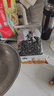 双塔东北黑木耳500g肉厚无根干木耳东北特产小碗耳火锅食材南北干货 实拍图