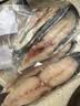 湛江特产特大马鲛鱼片深海天然鲜活零添加非一夜埕马友鱼鱼类净重 (460-500g/包)特大马鲛鱼中段切片 3包(每包2-3片)不搭鱼头去内脏 实拍图