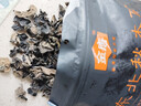 金唐东北秋木耳300g 黑木耳朵小肉厚 山珍菌菇干货凉拌火锅食材 实拍图