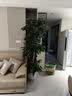 碧丽珠皮革护理剂330ml*2瓶 皮具护理剂清洁剂 去污清洁免水洗 实拍图