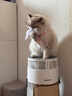 霍尼韦尔（Honeywell）宠物空气净化器吸猫毛除过敏源猫猫搭子 猫毛净化器杀菌消毒除异味KJ360F-C22W 实拍图