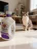 金纺自营3倍防粘毛猫毛狗毛抗皱防静电衣物护理剂4.8斤 实拍图