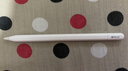 Apple/苹果 Pencil(USB-C) 磁吸触控笔手写笔苹果笔电容笔ipad笔 适用iPad 11/mini/Pro/Air 实拍图