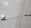 牧灵CFA赛级逗猫棒猫咪玩具自嗨解闷逗猫棒羽毛铃铛替换头小宠物用品 【限量100件】CFA赛级逗猫棒 实拍图