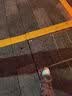 环球厚底黑色板鞋女春夏季2026新款小黑鞋潮流百搭运动休闲增高鞋子女 实拍图