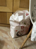 好奇（Huggies）铂金装小桃裤纸尿裤NB84片(5kg以下)尿不湿【透爽散热】 实拍图