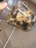 水益农每日坚果混合干果仁孕妇零食巴旦木腰果核桃仁炒货罐装休闲零食 500g*1罐【超值款8种】 实拍图