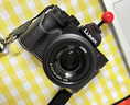 松下（Panasonic）Lumix G100D M43画幅相机 M43卡口 微单相机 无反数码相机 G100D+【12-60+25F1.7】双白盒套装 实拍图