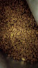 伯纳天纯生鲜1.0系列冻干通用犬粮丛林探秘(牛肉+鱼肉+鹿肉)12kg/24斤 实拍图