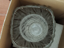 墨斗鱼花瓶轻奢玻璃高22cm大口径透明摆件郁金香富贵竹培容器母亲节礼物 实拍图