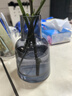 京东鲜花 北欧ins风简约玻璃花瓶水培鲜花插花小花瓶客厅餐桌水养创意摆件 实拍图