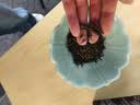 御玺2026新茶红茶礼盒装明前特级5g*20包商务送礼老人长辈领导 实拍图