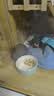 正大鸡小胸净重4斤（共2包）冷冻生鲜低脂鸡胸肉 早餐里脊肉鸡排 实拍图