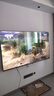 海信（Hisense）电视75E3NH Pro 75英寸 264Hz高刷 高色域 2.2重低音 智能Wi-Fi6 大内存 一级能效补贴 平板电视 实拍图