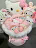 AWHAHelloKitty玩偶花束库洛米卡通毛绒玩偶花束生日礼物送女朋友 生日帽hellokitty玩偶花束+礼袋灯串 实拍图