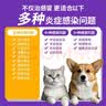 萌氏阿莫西林克拉维酸钾猫咪鼻支宠物狗犬窝咳打喷嚏猫同效250mg 实拍图
